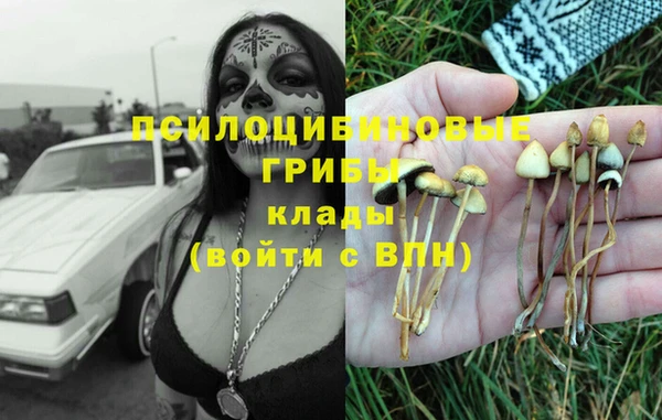 ГАЛЛЮЦИНОГЕННЫЕ ГРИБЫ Лихославль