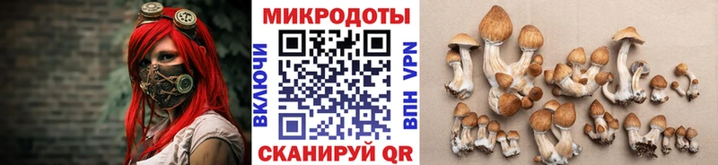 Псилоцибиновые грибы GOLDEN TEACHER  Смоленск 
